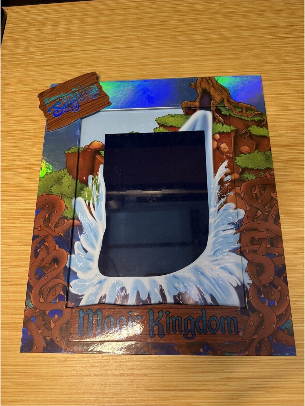 Disney Parks Splash Mountain Holographic Retired 8 X 10 Photo Frame Disney World